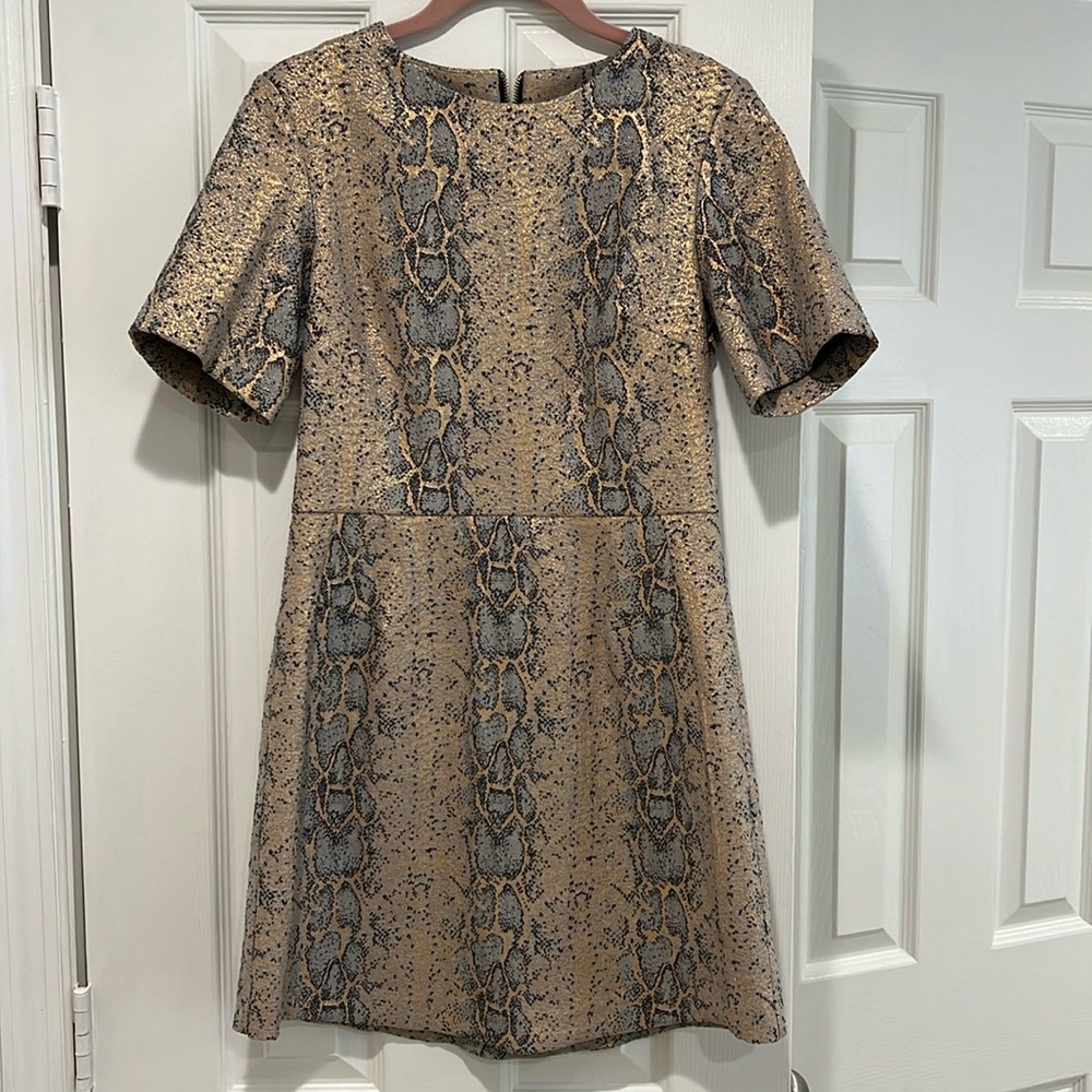 Mini Top Shop dress.